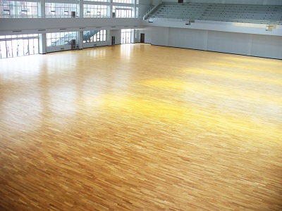 The Beijing Olympic Games taekwondo training venue